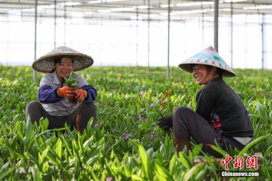 贵州省2018年贫困人口_贵州惠水万名易地扶贫搬迁民众同吃团圆饭(2)