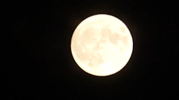  [Zhonggong Video] Come and see! "Super Moon" climbs up