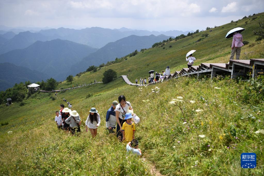 秦岭清凉小城旅游热 (1)