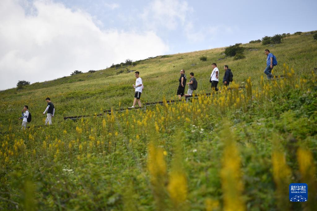 秦岭清凉小城旅游热 (2)