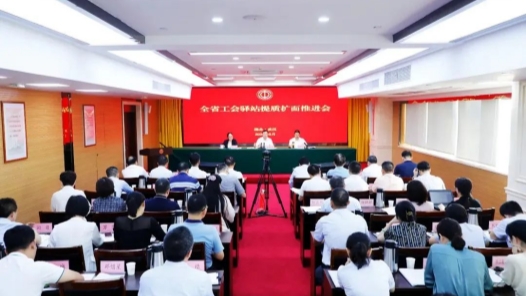  Hubei Provincial Federation of Trade Unions Deployed and Launched the Action of Improving the Quality and Expanding the Scope of Trade Unions in the Province