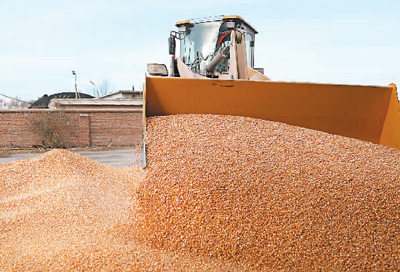 江苏规范夏粮收购市场行为 全省已收购小麦超50亿斤