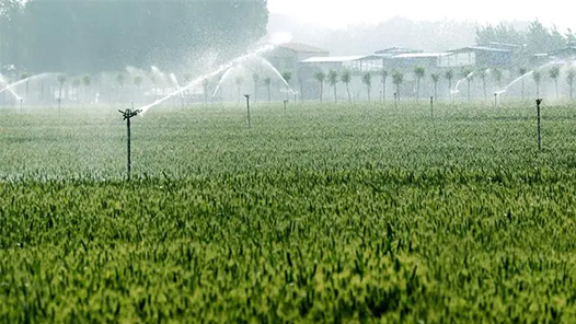 今年全国农业灌溉面积已超4亿亩 五组数据看水利保障农业生产