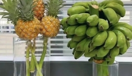  Why are some employees keen on "growing bananas on their work stations"?