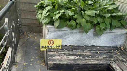 北京河边下沉小花园变“公共厕所”，回应：将加强清洁巡查