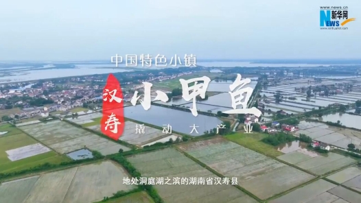 中国特色小镇丨湖南汉寿：小甲鱼撬动大产业
