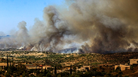 塞浦路斯山火暂时得到控制