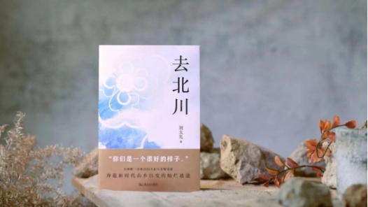 长篇纪实文学《去北川》出版研讨会在京举行