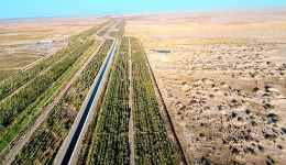  Build "Green Great Wall" on the edge of Taklimakan Desert