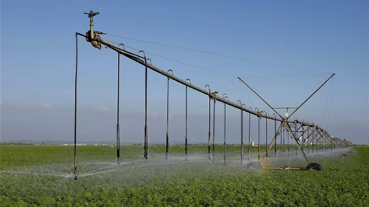 刘国中在河北调研时强调 切实保障灌溉用水 精心做好抗旱保夏播