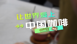  The Second "Belt and Road" International Skills Competition | Let the World Fall in Love with Chinese Coffee