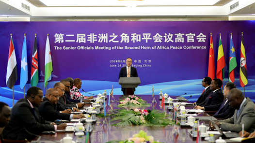 第二届非洲之角和平会议高官会在京召开