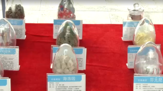 中越联合公开销毁毒品96.01公斤