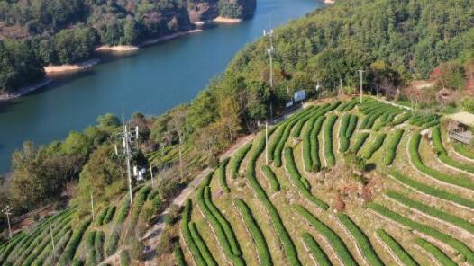 云南普洱景迈山申遗成功一周年接待游客40.2万人次