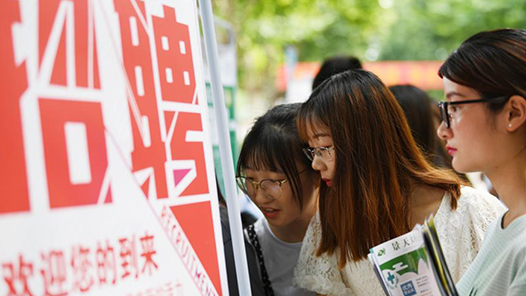 云南省昆明市盘龙区举行“职引未来 筑梦青春”招聘会