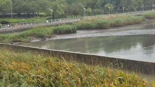 双预警解除！上海终止防汛防台Ⅱ级响应行动