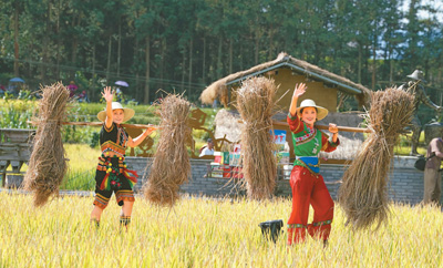 丰收节添彩乡村游