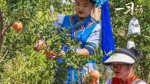 一习话｜“五十六个民族就是相亲相爱的一家人”