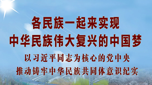 各民族一起来实现中华民族伟大复兴的中国梦——以习近平同志为核心的党中央推动铸牢中华民族共同体意识纪实