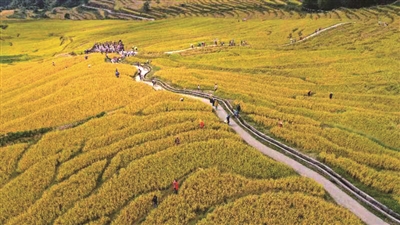 赏非遗品秋实 驰骋岭南景观大道