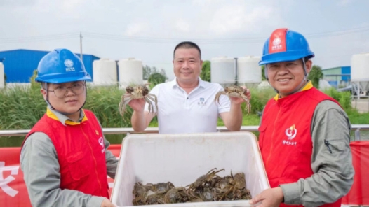 绿色循环养鱼，这样实现！