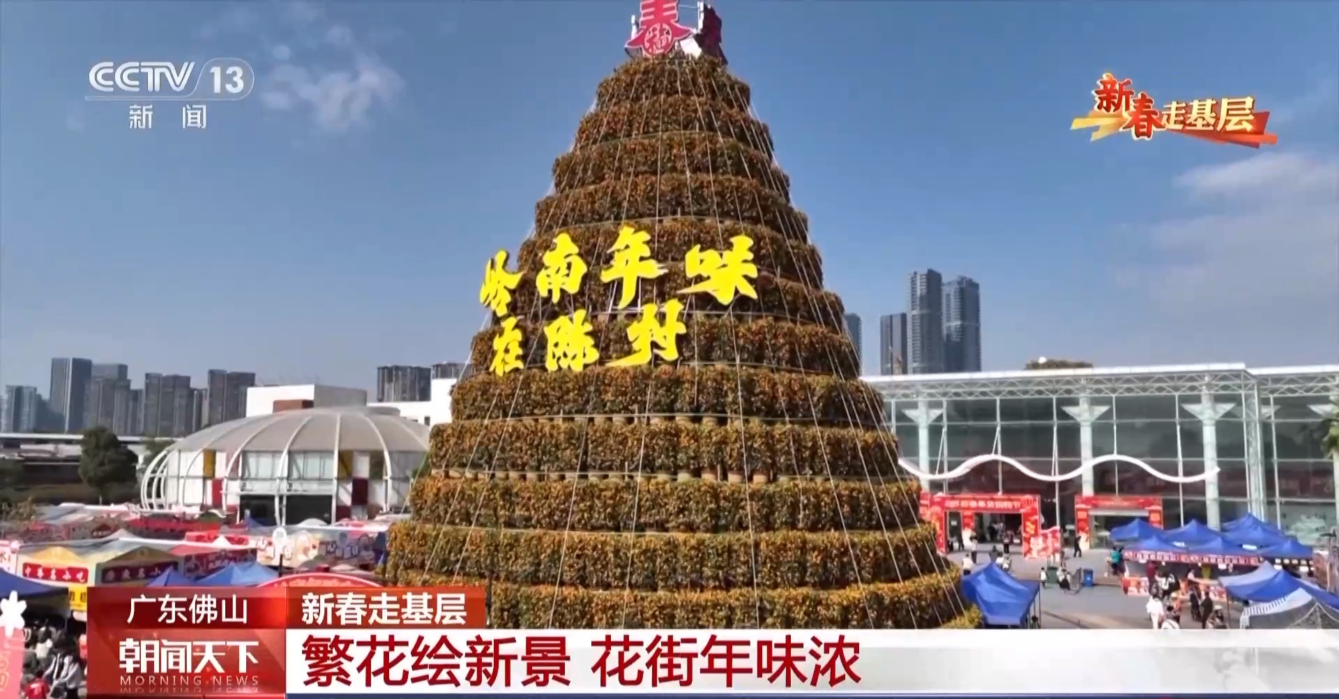 新春走基层丨种植基地→花卉市场→千家万户 年宵花的背后是他们的辛勤付出