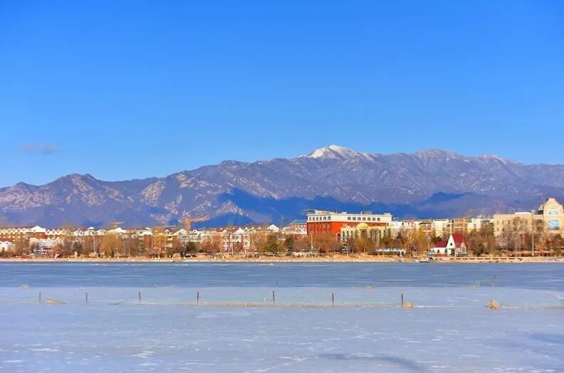 海陀戴雪图片