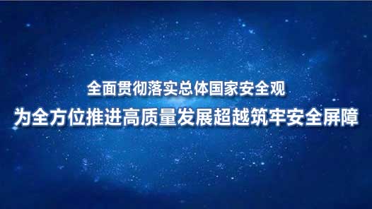 为全方位推进高质量发展超越筑牢安全屏障