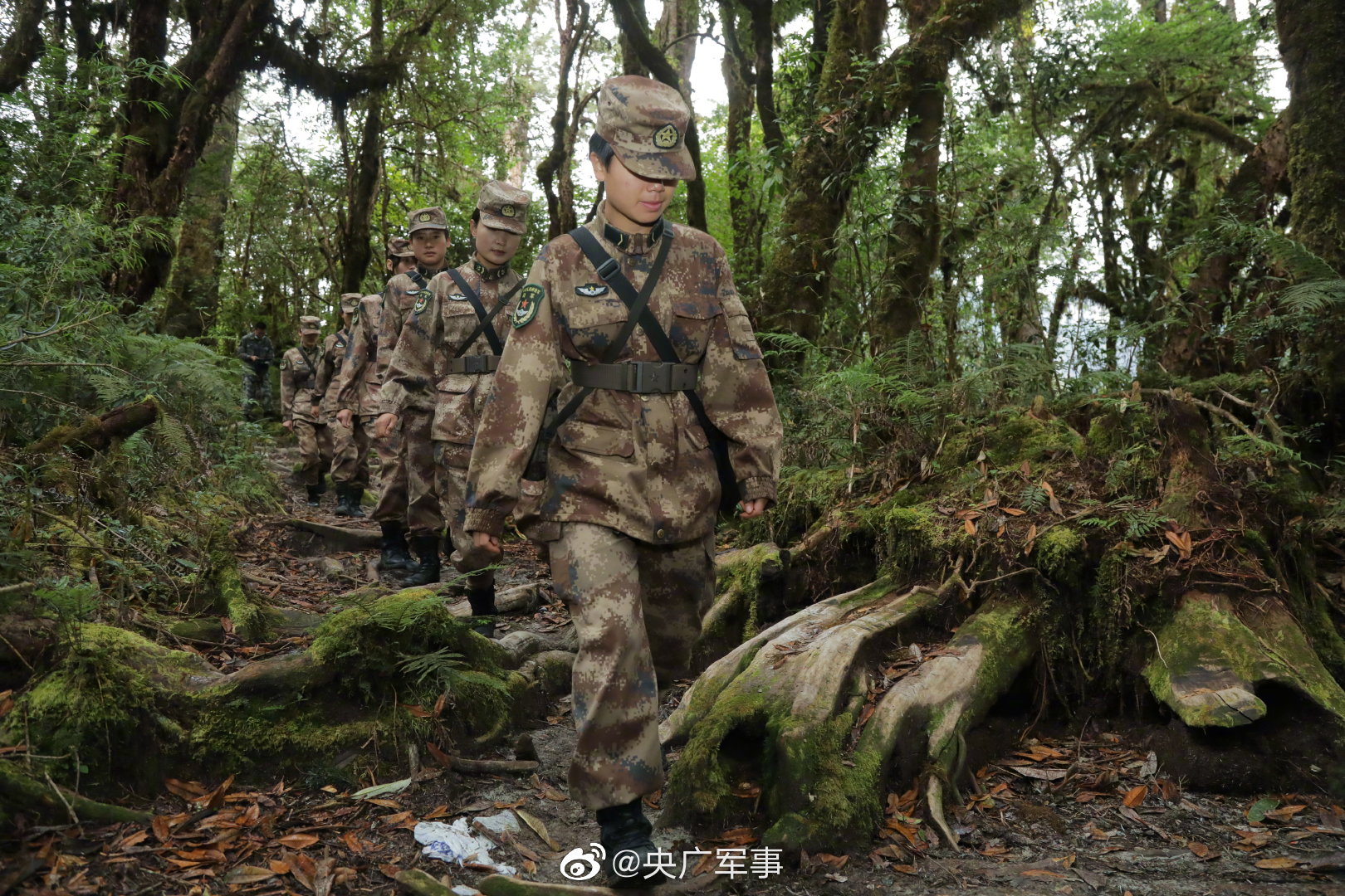 墨脱县驻军部队图片