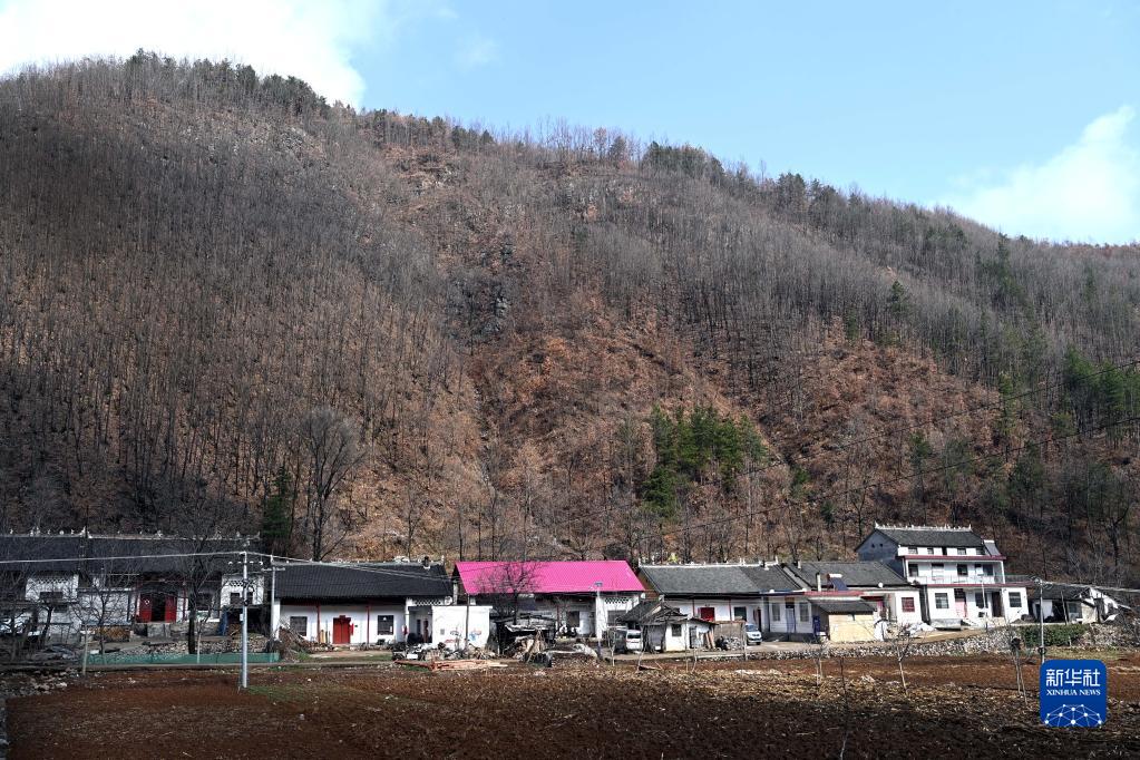 3月12日拍摄的王新富所在的麻坪镇栗西口村.