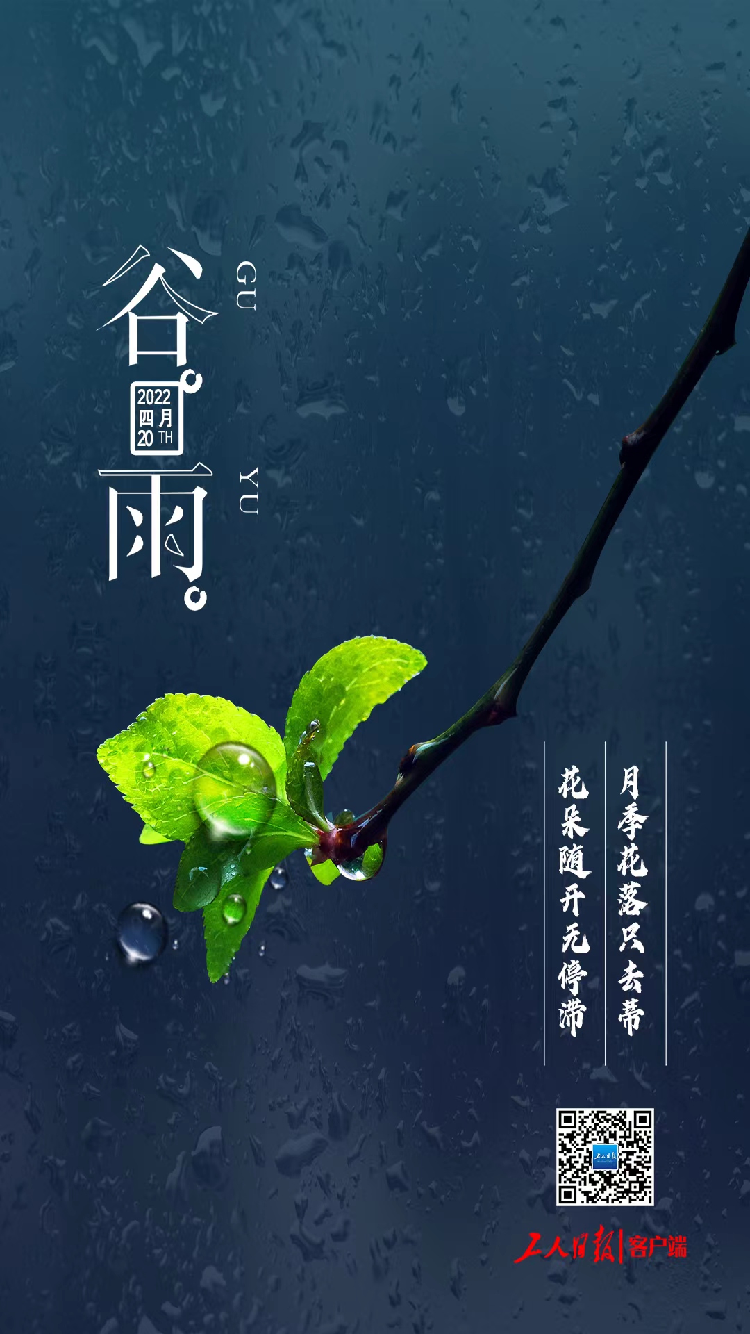 今日穀雨