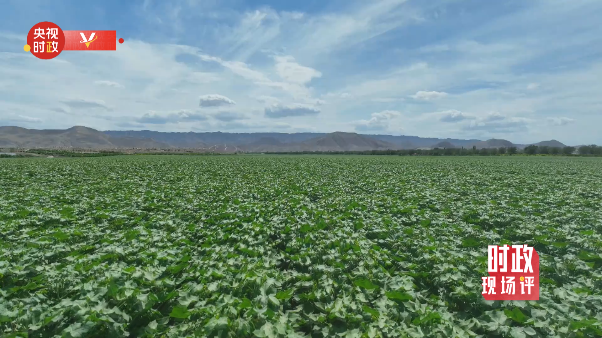 20220716210328411 20220716210328411