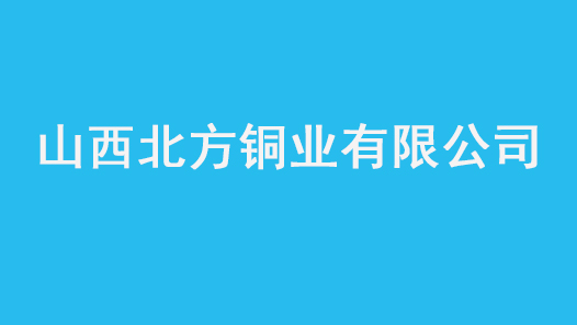 第十七届全国职工职业道德建设评选表彰标兵单位山西北方铜业有限公司事迹