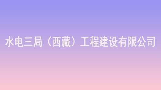 第十七届全国职工职业道德建设评选表彰标兵单位水电三局（西藏）工程建设有限公司事迹