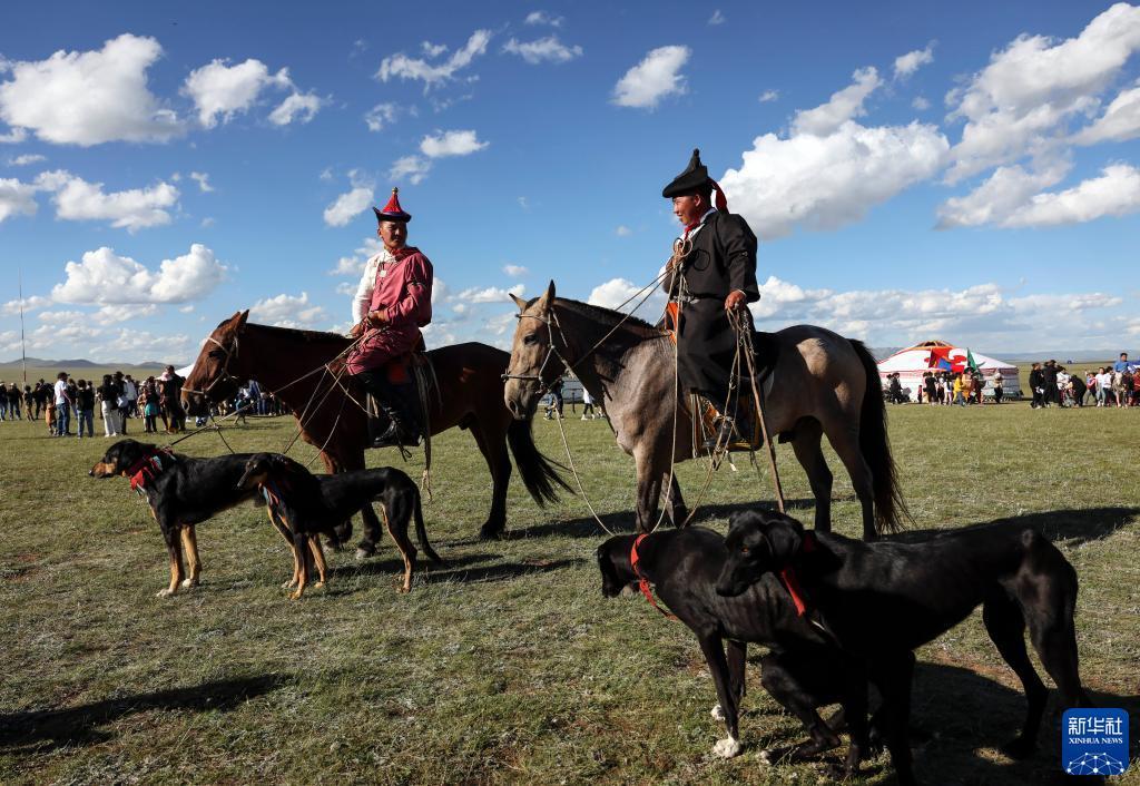 蒙古国游牧民族世界文化节上的马术表演