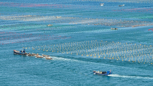 我国海洋经济总量首超十万亿元