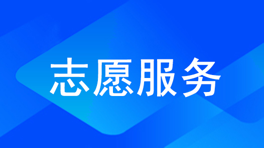 林芝市波密县总工会组织职工志愿者开展主题党日活动