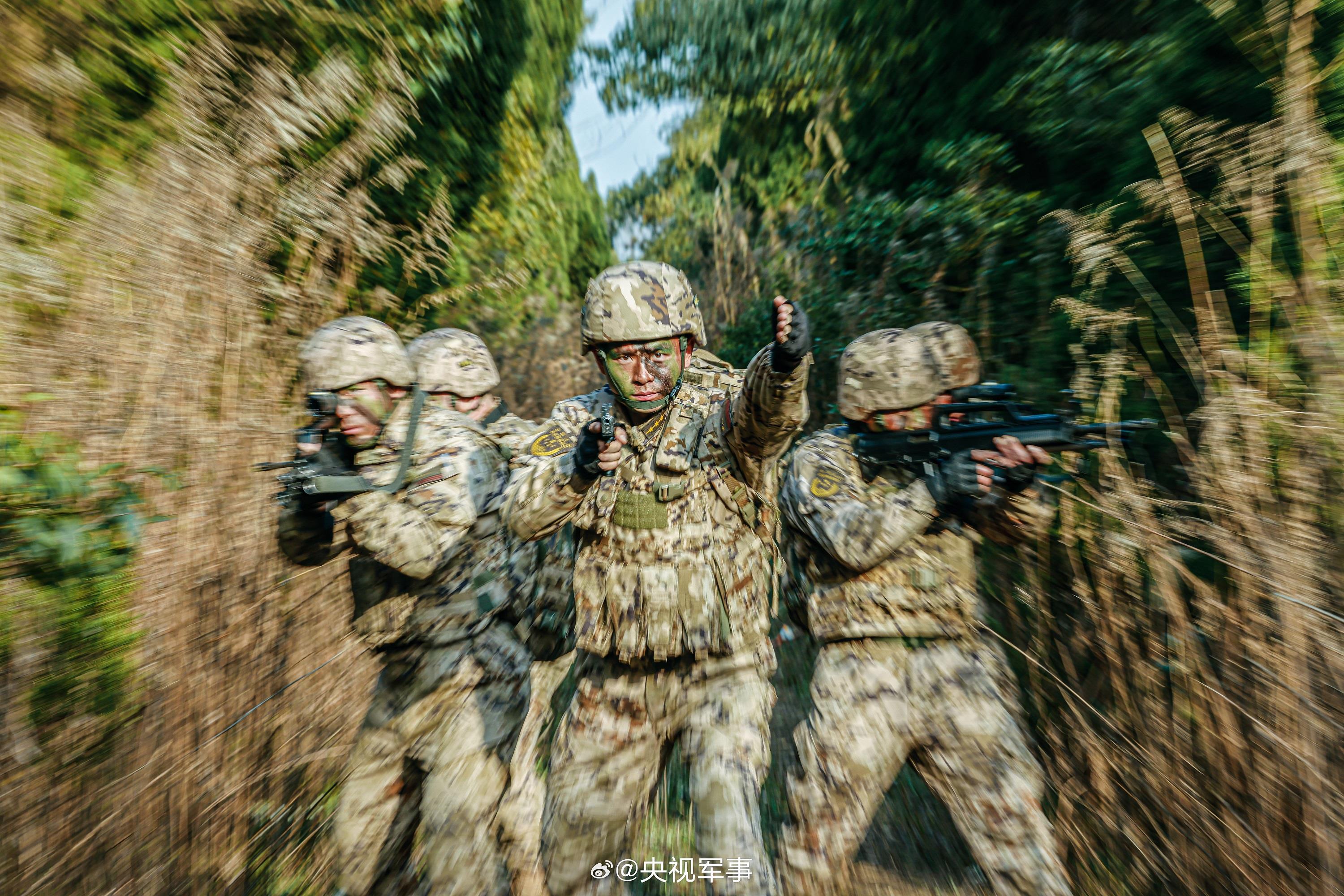 武警林地战术训练硬核大图来啦