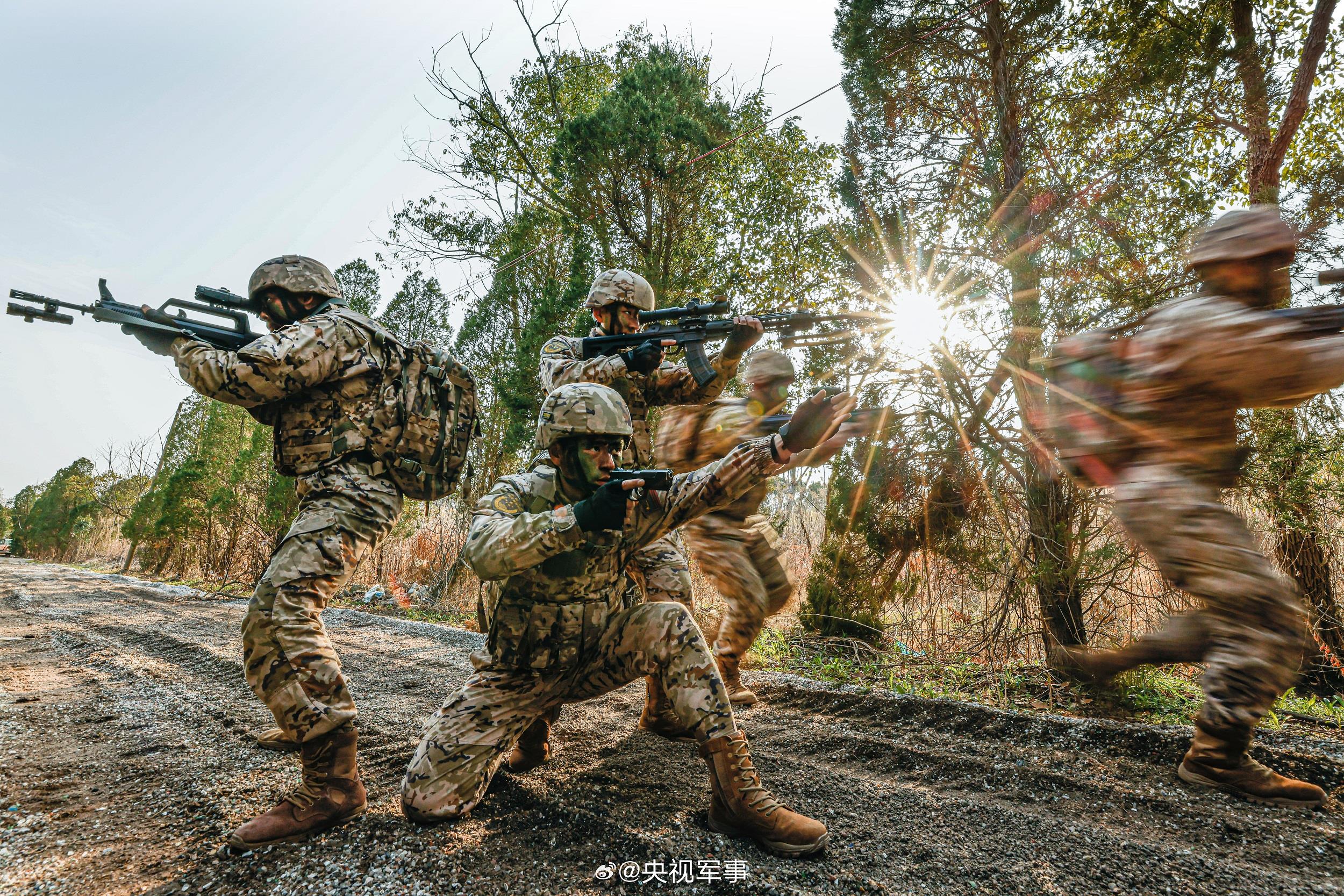 武警林地战术训练硬核大图来啦