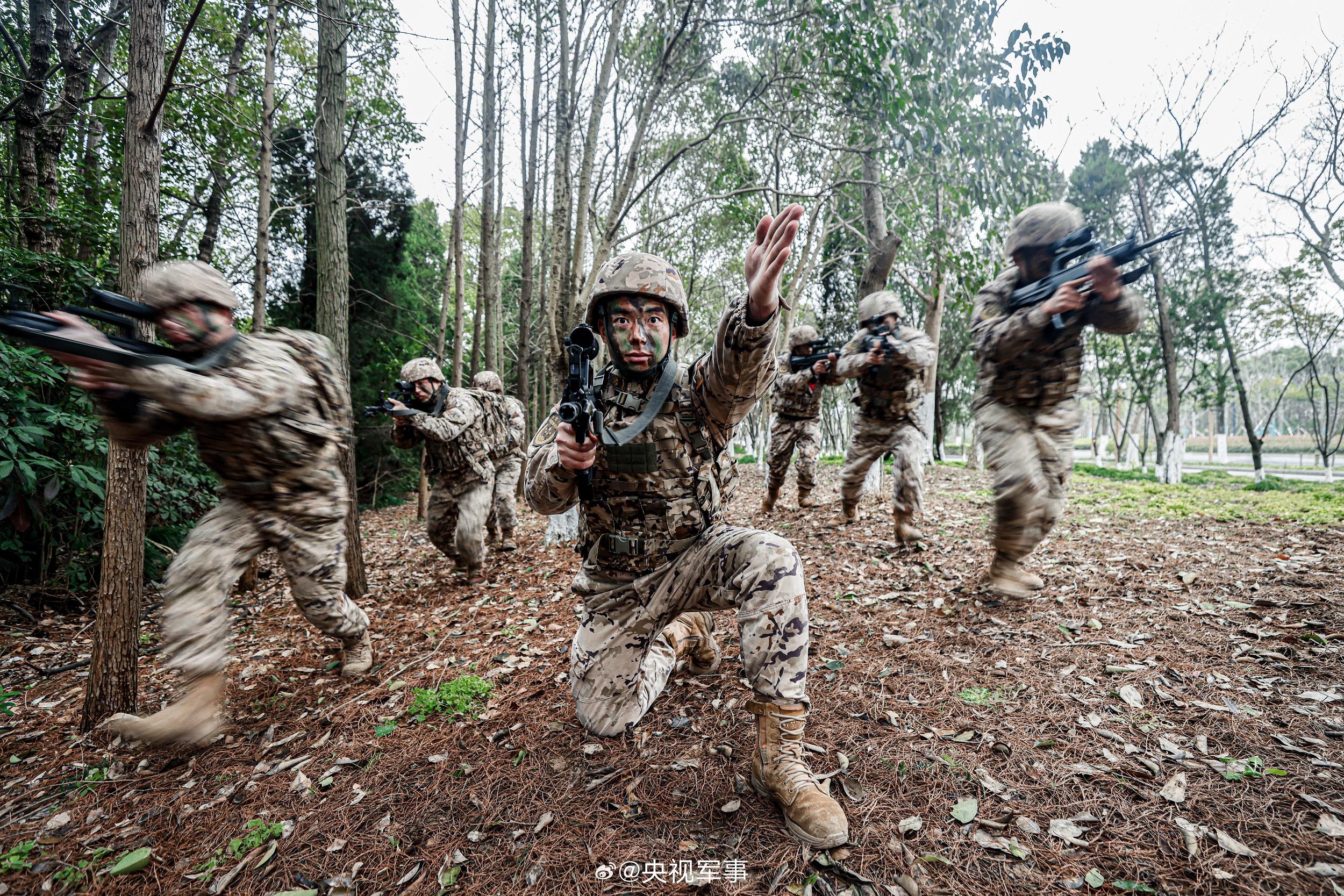 武警林地战术训练硬核大图来啦