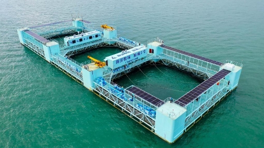科技助力中国加快建设深远海养殖“蓝色粮仓”