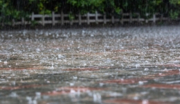 受台风“格美”影响 广东这些地区仍需防强降水！