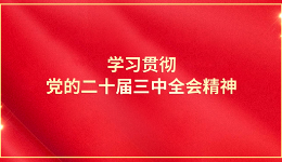 学习贯彻党的二十届三中全会精神丨各地工会认真学习贯彻党的二十届三中全会精神