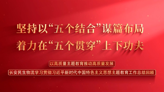 《学习贯彻习近平新时代中国特色社会主义思想主题教育主题视频》