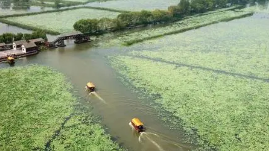 锚定现代化 改革再深化丨从三段岸线看微山湖治理