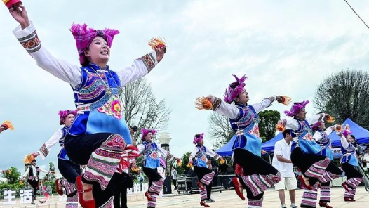 云南红河州启动“马缨花之旅”线路发布会