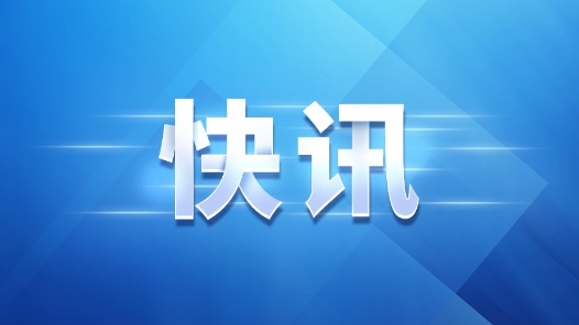 快讯：摩尔多瓦中选委21日公布的初步计票结果显示，现任总统桑杜与斯托亚诺格洛将进入总统选举第二轮角逐