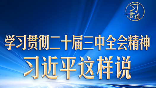 习言道｜学习贯彻二十届三中全会精神，习近平这样说