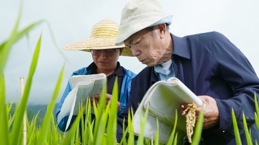 辉煌75载 与共和国同成长的劳动模范 | 蒋志农：七彩云南“水稻之父”