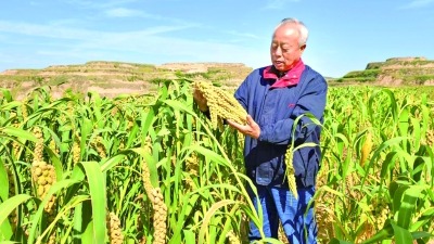 辉煌75载 与共和国同成长的劳动模范 | 张雷威：“老黄牛”拓出致富路